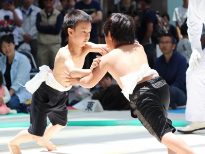 ５月度例会   わんぱく相撲浜松場所