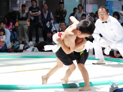 ５月度例会   わんぱく相撲浜松場所