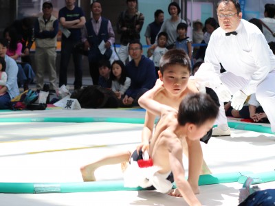 ５月度例会   わんぱく相撲浜松場所