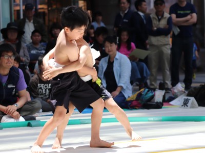 ５月度例会   わんぱく相撲浜松場所