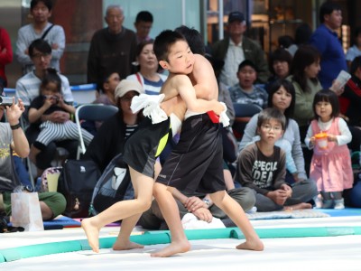 ５月度例会   わんぱく相撲浜松場所