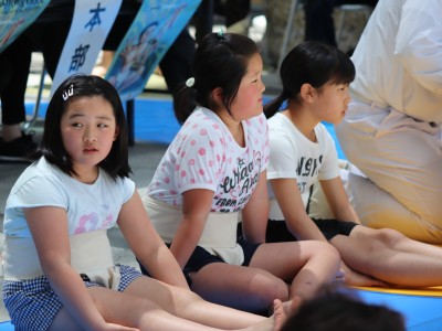 ５月度例会   わんぱく相撲浜松場所