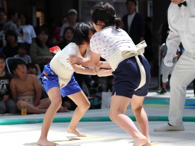 ５月度例会   わんぱく相撲浜松場所