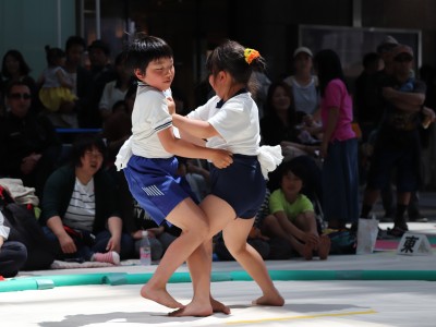 ５月度例会   わんぱく相撲浜松場所