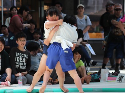 ５月度例会   わんぱく相撲浜松場所