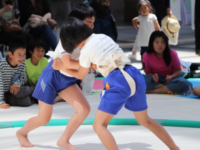 ５月度例会   わんぱく相撲浜松場所