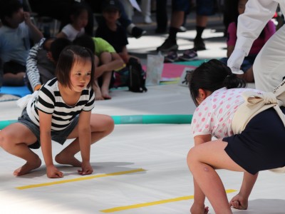 ５月度例会   わんぱく相撲浜松場所