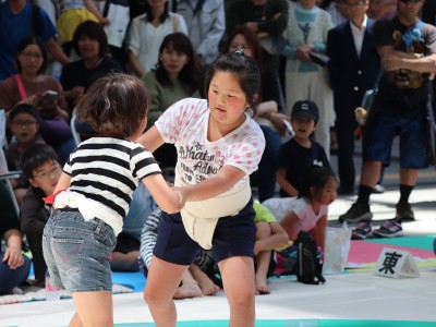 ５月度例会   わんぱく相撲浜松場所