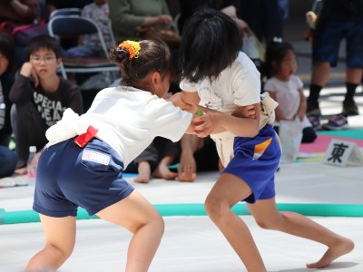 ５月度例会   わんぱく相撲浜松場所