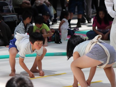 ５月度例会   わんぱく相撲浜松場所