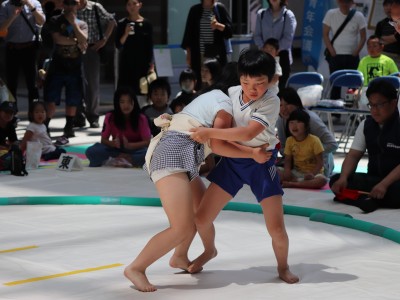 ５月度例会   わんぱく相撲浜松場所