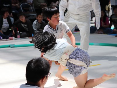 ５月度例会   わんぱく相撲浜松場所