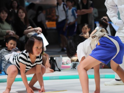 ５月度例会   わんぱく相撲浜松場所