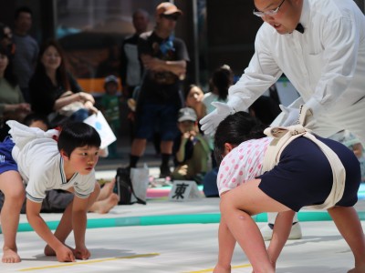 ５月度例会   わんぱく相撲浜松場所