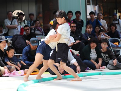 ５月度例会   わんぱく相撲浜松場所