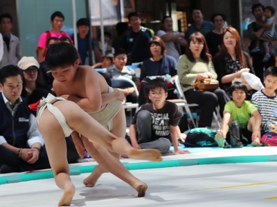 ５月度例会   わんぱく相撲浜松場所