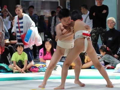 ５月度例会   わんぱく相撲浜松場所