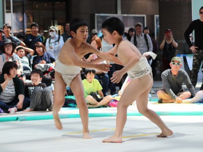 ５月度例会   わんぱく相撲浜松場所