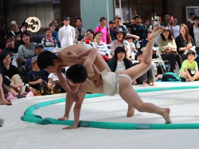 ５月度例会   わんぱく相撲浜松場所