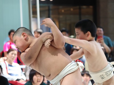 ５月度例会   わんぱく相撲浜松場所