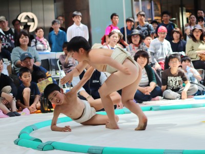 ５月度例会   わんぱく相撲浜松場所