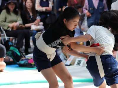 ５月度例会   わんぱく相撲浜松場所