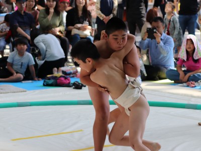 ５月度例会   わんぱく相撲浜松場所