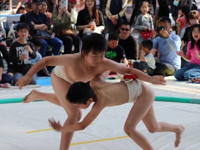 ５月度例会   わんぱく相撲浜松場所