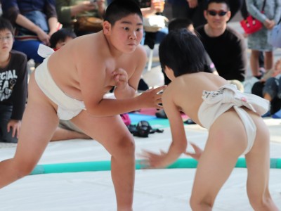 ５月度例会   わんぱく相撲浜松場所