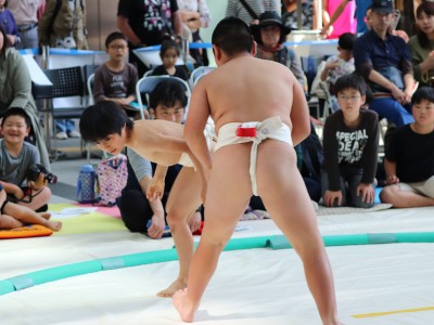 ５月度例会   わんぱく相撲浜松場所