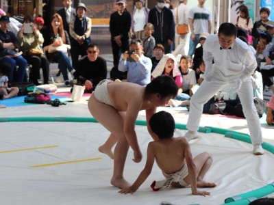 ５月度例会   わんぱく相撲浜松場所