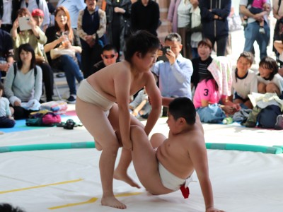 ５月度例会   わんぱく相撲浜松場所