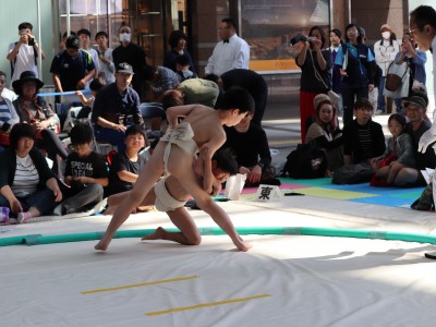 ５月度例会   わんぱく相撲浜松場所