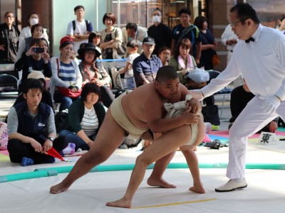 ５月度例会   わんぱく相撲浜松場所