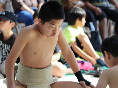 ５月度例会   わんぱく相撲浜松場所