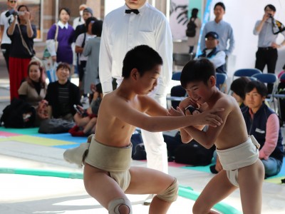 ５月度例会   わんぱく相撲浜松場所