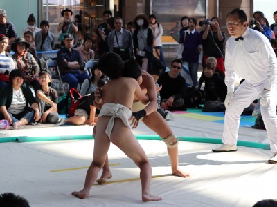 ５月度例会   わんぱく相撲浜松場所