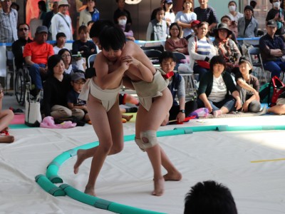 ５月度例会   わんぱく相撲浜松場所