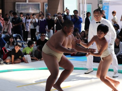 ５月度例会   わんぱく相撲浜松場所