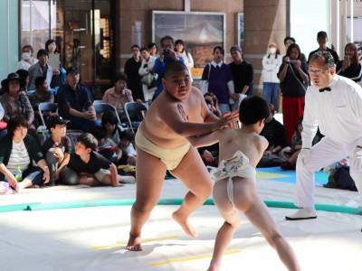 ５月度例会   わんぱく相撲浜松場所