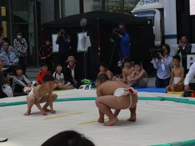 ５月度例会   わんぱく相撲浜松場所