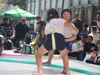 ５月度例会   わんぱく相撲浜松場所