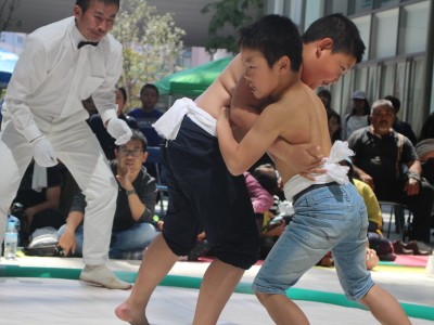 ５月度例会   わんぱく相撲浜松場所