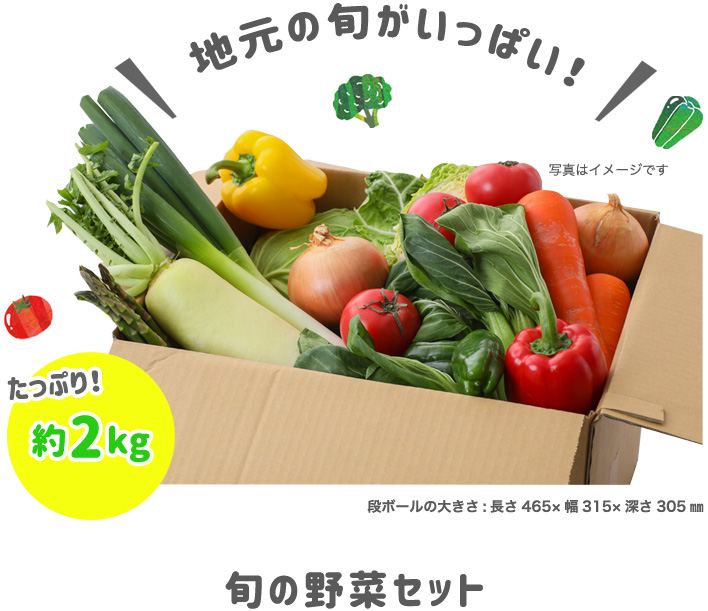 旬の野菜セット