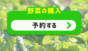 野菜の購入