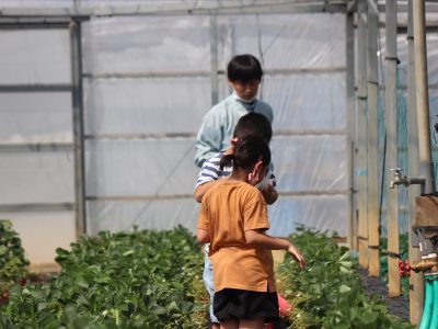 第１回あみだ会「浜松いちご狩り～やりたいこともできないこんな世の中なんだし、たまにはいいよね～」