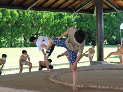 第36回わんぱく相撲浜松場所