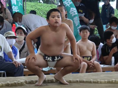 わんぱく相撲静岡県大会