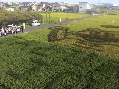 マイ（米）ホームスマイル～食への感謝を育もう～滝村 雅晴氏 講演会・田んぼアート鑑賞会