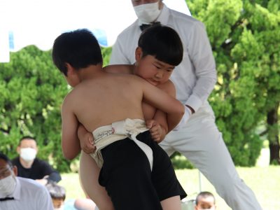 第37回わんぱく相撲浜松場所